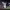 Clayton Kershaw Reaches 3,000 Strikeouts and Retires as a Champion (2025) cover