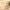 https://res.cloudinary.com/billionhands/image/upload/v1777662527/items/vrj4j1zkmfxqzgq1fyi5.jpg-0cover