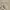 https://res.cloudinary.com/billionhands/image/upload/v1777662557/items/bge7yqis0nowpjjqd1b0.jpg-1cover