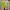 https://res.cloudinary.com/billionhands/image/upload/v1777663966/items/guogtw5wkfcxaw2nspnv.jpg-2cover