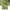 https://res.cloudinary.com/billionhands/image/upload/v1777663968/items/h11q9vcvydcx4f0zgn2j.jpg-3cover