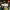 Praise - Elevation Worship, Chris Brown, Brandon Lake & Chandler Moore cover