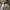 https://res.cloudinary.com/billionhands/image/upload/v1777668034/items/exlvqyby73kywpjiunxn.jpg-0cover