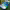 https://res.cloudinary.com/billionhands/image/upload/v1777668919/items/fu06nziez9ngi9eh9zbl.webp-0cover