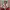 https://res.cloudinary.com/billionhands/image/upload/v1777670539/items/ex0otulkabyiqoovknz1.webp-0cover