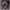 https://res.cloudinary.com/billionhands/image/upload/v1777670554/items/fgncrtoiop7xzehy4liw.webp-3cover