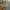 https://res.cloudinary.com/billionhands/image/upload/v1777673211/items/ynawbhy9ii6hj3a78swz.webp-0cover