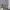 https://res.cloudinary.com/billionhands/image/upload/v1777673212/items/ixkzwtbobumhwgp2ukbs.jpg-3cover