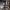 https://res.cloudinary.com/billionhands/image/upload/v1777680043/items/ofl7ki7p5fotezxvclon.jpg-1cover