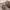 https://res.cloudinary.com/billionhands/image/upload/v1777680045/items/okxvjgiacxbylkyjlzqk.jpg-1cover