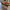 https://res.cloudinary.com/billionhands/image/upload/v1777680832/items/tuczwannnz39gruglxex.jpg-0cover