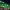 https://res.cloudinary.com/billionhands/image/upload/v1777680921/items/qvgmbyoft31cucgm2nvm.jpg-3cover