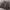 https://res.cloudinary.com/billionhands/image/upload/v1777686680/items/nkvdjcafhapl5zerhikj.jpg-1cover