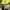 https://res.cloudinary.com/billionhands/image/upload/v1777692590/items/nij5r1enoftrvfwyrctc.jpg-1cover