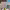 https://res.cloudinary.com/billionhands/image/upload/v1777693640/items/qal583z4nx8i9agvsasc.jpg-1cover