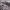 https://res.cloudinary.com/billionhands/image/upload/v1777693654/items/k4n4avbznlgjutwjwdfi.webp-1cover