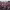 https://res.cloudinary.com/billionhands/image/upload/v1777693656/items/aelix1ivpnwprcyssluq.jpg-3cover