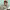 https://res.cloudinary.com/billionhands/image/upload/v1777698276/items/ciuyra336hnqdy52ge78.jpg-2cover