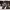 https://res.cloudinary.com/billionhands/image/upload/v1777699282/items/cjsoiahiznt6qauf06yd.jpg-1cover