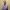 https://res.cloudinary.com/billionhands/image/upload/v1777699282/items/fwpwkz08gt9tdwkijviv.jpg-1cover