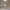 https://res.cloudinary.com/billionhands/image/upload/v1777702861/items/pqmrsh9gssskol1mdlsc.jpg-1cover