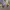 https://res.cloudinary.com/billionhands/image/upload/v1777702923/items/mrlm6hrl1yepbotjfmxg.jpg-2cover