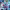 https://res.cloudinary.com/billionhands/image/upload/v1777703008/items/x1ikanvnz9seevjnrwun.jpg-3cover