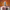 https://res.cloudinary.com/billionhands/image/upload/v1777703020/items/bl1wmcvucrylhbahwglf.jpg-2cover