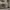 https://res.cloudinary.com/billionhands/image/upload/v1777704793/items/whuc39n40c7e05srpdnw.jpg-2cover