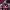 https://res.cloudinary.com/billionhands/image/upload/v1777705127/items/lbhkedumyh1sokgdcta8.jpg-1cover