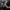 https://res.cloudinary.com/billionhands/image/upload/v1777705337/items/as8pln36qzra6u5hlhhh.jpg-1cover