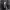 https://res.cloudinary.com/billionhands/image/upload/v1777705341/items/w25vrnudnc2q3rvosexd.webp-0cover