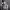 https://res.cloudinary.com/billionhands/image/upload/v1777705342/items/xze5sisvzdxjpl4akkfv.jpg-1cover