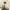 https://res.cloudinary.com/billionhands/image/upload/v1777705345/items/ydzu9olbf0njjgkysaco.jpg-2cover