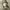https://res.cloudinary.com/billionhands/image/upload/v1777705353/items/ovx13ozohftopa3efnva.jpg-2cover