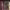 https://res.cloudinary.com/billionhands/image/upload/v1777706580/items/gl0jkrjkirev0s3mrsfn.jpg-1cover