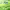 https://res.cloudinary.com/billionhands/image/upload/v1777706656/items/iicaxdsih1ak8hflihvd.jpg-1cover