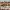 https://res.cloudinary.com/billionhands/image/upload/v1777709411/items/lcsitguftj1ptzcemeco.jpg-1cover