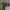 https://res.cloudinary.com/billionhands/image/upload/v1777709420/items/iabqnypgfumjvdpjetuq.webp-2cover