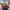 Coming Home This Christmas (2025) cover