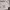 https://res.cloudinary.com/billionhands/image/upload/v1777712206/items/hv1n4pablqxkk0jaearj.webp-2cover