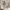 https://res.cloudinary.com/billionhands/image/upload/v1777713635/items/ogwimk5mdqgchxfbmlna.jpg-1cover