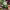 Vegan Ranch Dressing (Rainbow Plant Life) cover