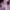 https://res.cloudinary.com/billionhands/image/upload/v1777726348/items/h8geiqcuj6frweak1vyp.webp-0cover
