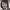 https://res.cloudinary.com/billionhands/image/upload/v1777726968/items/fn2qhgjidcqjxodq2ewr.jpg-0cover