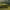 https://res.cloudinary.com/billionhands/image/upload/v1777731001/items/ziacnpmhsxmypejqqhfm.png-3cover