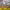 https://res.cloudinary.com/billionhands/image/upload/v1777732297/items/xu2s2intg36uashqn24d.jpg-1cover