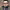 https://res.cloudinary.com/billionhands/image/upload/v1777738849/items/ecpf7hgggljym8uocqjc.jpg-2cover