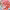 https://res.cloudinary.com/billionhands/image/upload/v1777739566/items/npm0hacdtkpszk0wfefu.jpg-3cover