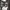 https://res.cloudinary.com/billionhands/image/upload/v1777739943/items/jpay3r8xag2cg34s0axr.jpg-2cover